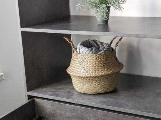 PXL_20240209_104547375