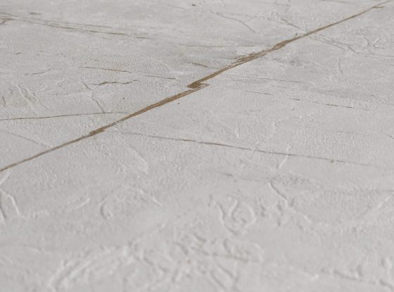 PXL_20240211_095539491.RAW-01.COVER