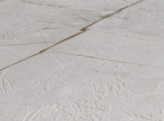 PXL_20240211_095541743.RAW-01.COVER