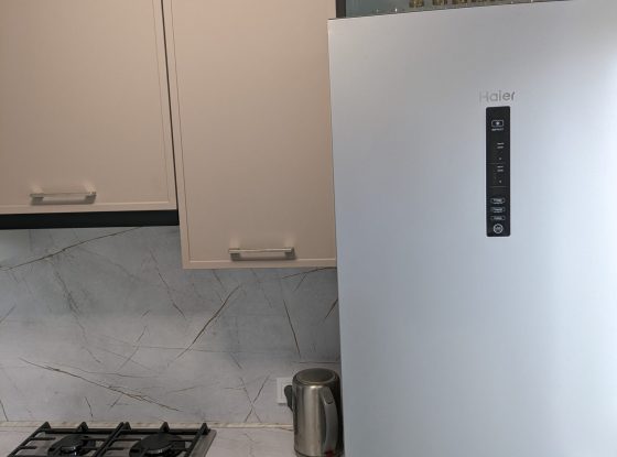 PXL_20240211_095709137