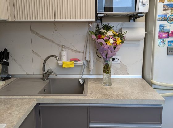 PXL_20241011_142323030