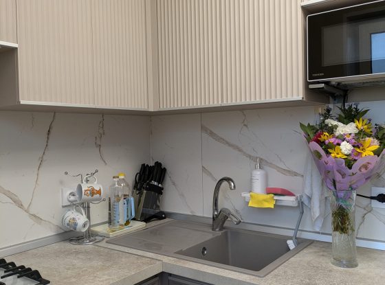 PXL_20241011_142543486