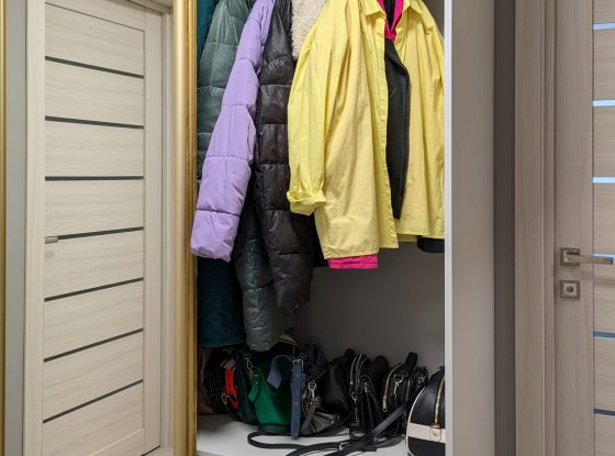 PXL_20241129_100559709