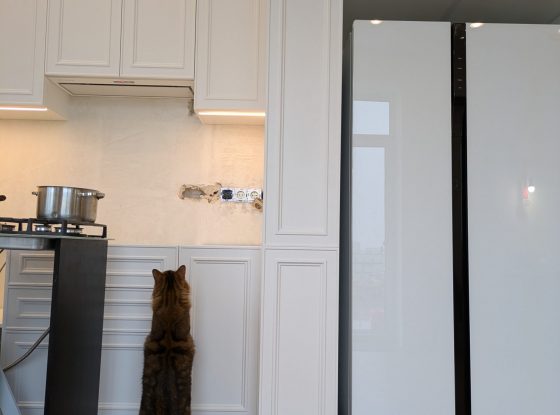 PXL_20250326_113156835