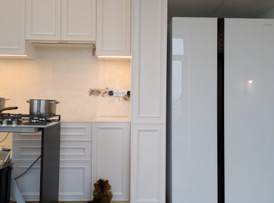 PXL_20250326_113203770